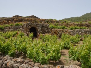 MURETTI DI PANTELLERIA