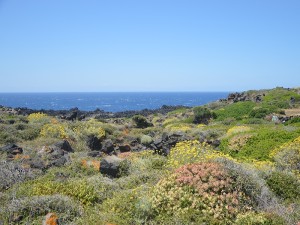 NATURA PANTELLERIA