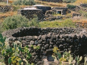 DAMMUSI CON GIARDINO